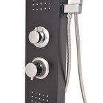 vidaXL Système de panneau de douche Aluminium Mat Noir