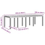 vidaXL Table de jardin Gris clair 250x100x73 cm Poly Rattan
