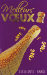 LOT 5 Cartes Meilleurs Vœux + 5 Enveloppes 4x9cm