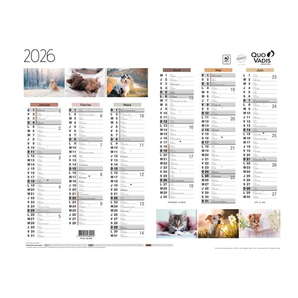 Calendrier Mural  2026 - 12 Mois - 27 x 21 cm - Animaux