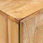 vidaXL Buffet avec porte Marron 40 x 33 x 75 cm Bois de mangue massif