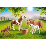 Playmobil - 70682 - poneys et poulains