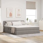 vidaXL Lit avec rangement et matelas Taupe 160 x 200 cm Velours