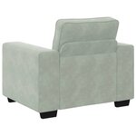 vidaXL Fauteuil Gris clair 60 cm Velours