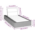 vidaXL Transat avec coussin flottant noir résine tressée