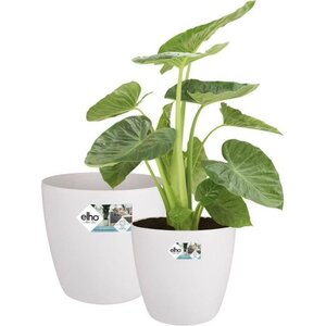 2 pots de fleur ronds à roulettes Ø 35 x hauteur 33 cm et Ø 39 x hauteur 36 5 cm - Blanc