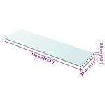 vidaXL Panneau pour étagère Verre transparent 100 x 30 cm
