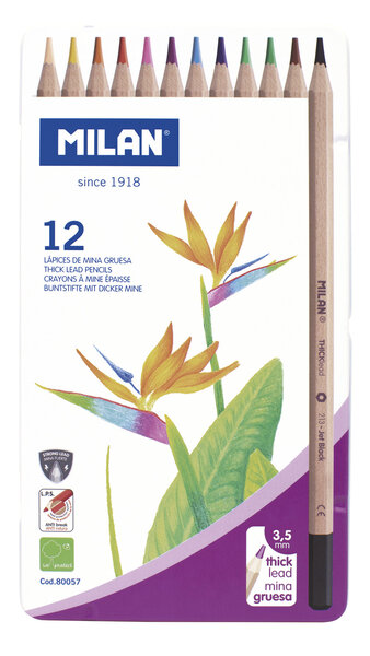 Crayons de couleur mine épaisse Ø 3 5 mm hexagonaux Boite métallique 12 pièces
