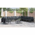 vidaXL Ensemble de canapé de jardin 11 Pièces Anthracite Acier