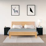 vidaXL Tables de chevet 2 Pièces Noir 50x35x61 5 cm Bois de pin massif