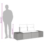vidaXL Canapé de jardin 2 places avec rangement et coussins noir en rotin synthétique
