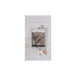 Carte De Voeux -  Sincères Condoléances - Arbres Visuel Aléatoire*