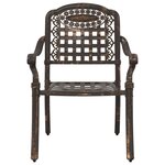 Chaises de jardin vidaXL 2 Pièces Aluminium moulé bronze