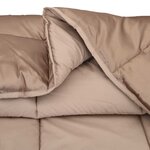 vidaXL Duvet d'hiver Doré 220 x 135 cm Satin et Microfibre