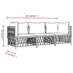 vidaXL Salon de jardin avec coussins 3 Pièces anthracite acier