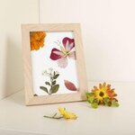 2 cadres en bois pour Herbier 13 x 17 cm