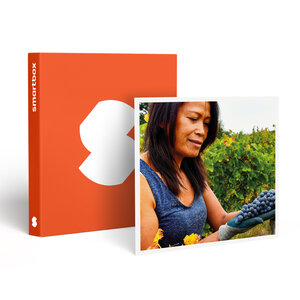 SMARTBOX - Coffret Cadeau Découverte de vignes biodynamiques avec dégustation de vins en Gironde - Sport & Aventure