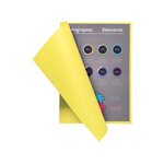 Paquet de 100 chemises Flash 220 format 320x240mm Jaune vif EXACOMPTA