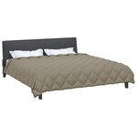 vidaXL Duvet d'hiver Gris clair 200 x 200 cm Microfibre