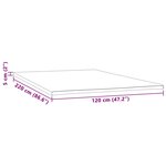 vidaXL Sur-matelas 120x220x5 cm