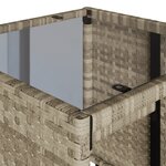 vidaXL Salon de jardin 4 Pièces avec coussins gris clair résine tressée