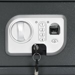 vidaXL Coffre-fort électronique avec verrouillage par empreinte digitale 20x31x20 cm en acier