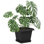 vidaXL Plateau carré à fleurs 24 Pièces Noir 25 5 x 25 5 x 2 5 cm