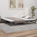 vidaXL Lit coulissant Gris 2x(100x200) cm Bois de pin massif