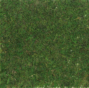 Herbe / mousse synthétique 30 cm
