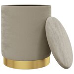vidaXL Tabouret de rangement rond Gris foncé Velours 31 x 37 cm
