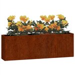 vidaXL Jardinières murales 2 Pièces Rouillé Acier corten 53x10x17 cm