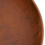 vidaXL Foyer 57 cm Acier
