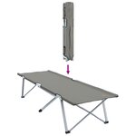 vidaXL Lit de Camping Pliant Gris Aluminium Grand Pliable