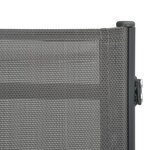 vidaXL Chaises longues lot de 2 Textilène et acier
