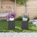 vidaXL Supports pour plantes 2 Pièces Noir 24 x 24 x 35 cm Acier