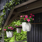 LECHUZA Jardinière suspendue NIDO Cottage 28 ALL-IN-ONE Blanc