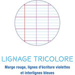 Cahier piqué Polypro POESIE et CHANT 17x22cm 48p séyès 90g Incolore CALLIGRAPHE