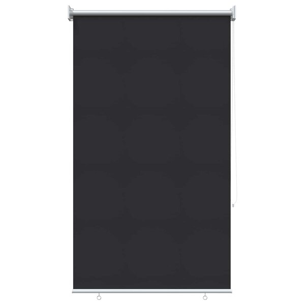 vidaXL Store roulant extérieur protection UV Anthracite Polyester