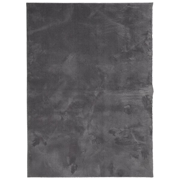 vidaXL Tapis HUARTE à poils courts doux lavable anthracite 140x200 cm