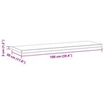 vidaXL Étagères murales 2 Pièces 100x30x3 cm noir acier inoxydable