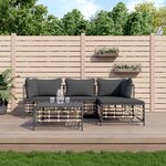 vidaXL Salon de jardin 4 Pièces avec coussins anthracite résine tressée