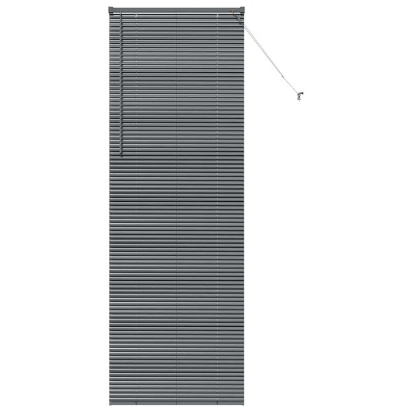 vidaXL Store de Fenêtre avec des rideaux Gris foncé Aluminium