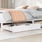 vidaXL Tiroirs sous le lit 2 Pièces blanc 95x55x17 cm bois de pin massif