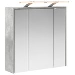 vidaXL Armoire Miroir de Salle de Bain Gris béton 63 5 x 16 x 62 5 cm