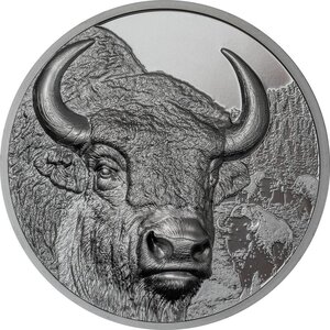 Pièce de monnaie en Argent 1000 Torog g 62.2 (2 oz) Millésime 2025 Wild Mongolia BISON (PRÉCOMMANDE)