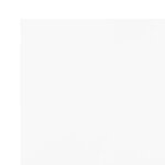 vidaXL Bâche blanc 1x2 5 m 650 g/m²