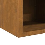 vidaXL Braise Rouillé 50 x 50 x 40 cm Acier résistant aux intempéries