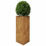 vidaXL Jardinières 2 Pièces triangulaire acier résistant aux intempéries