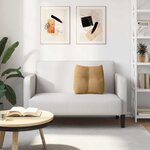 vidaXL Coussin de Dos Marron 45 x 24 x 50 cm Velours