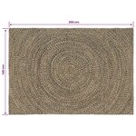 vidaXL Tapis de surface Naturel et noir 140 x 200 cm Jute
